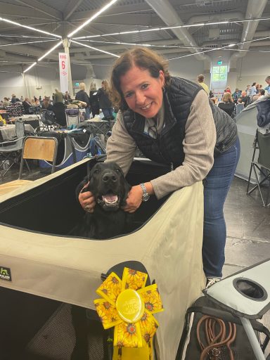 V3 für Witches Brew' Nobody Does It Better auf der Dortmund – Agria Winner Show 2025 Auf der Dortmund – Agria Winner Show 2025 wird Witches Brew' Nobody Does It Better mit V3 bewertet.