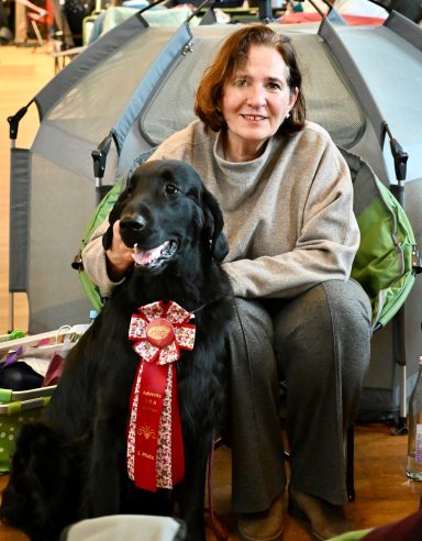 V1 SRA – Weihnachten 2025 Tag1 Der Flat Coated Retriever Witches Brew' Nobody Does It Better erhält auf der SRA Weihnachten 2025 in Soltau den 1. Preis.