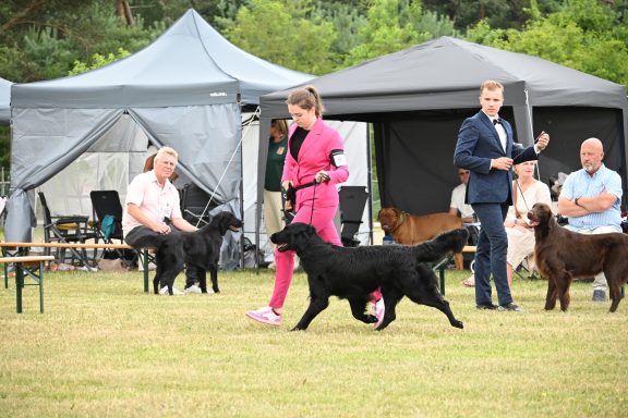 Champion Klasse Dogshow Utrecht 2026