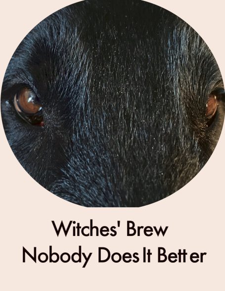 Flat Coated Retriever Witches' Brew Nobody Does It Better
